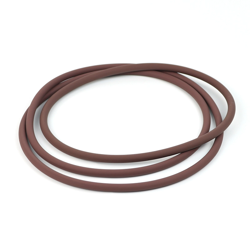 Anel de veda&ccedil;&atilde;o FKM